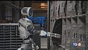 Ruota, Tu si que vales e Speciale Tg5 Robot