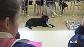 A scuola di emozioni con il cane in classe