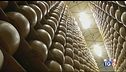 Il mondo celebra il Made in Italy