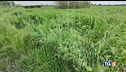 Fa jogging, violentata Fermato un minorenne