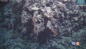 Scempio e bellezza nel "nostro" mare