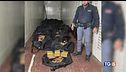 Droga, una tonnellata per la movida romana
