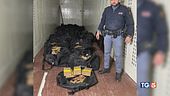 Droga, una tonnellata per la movida romana