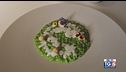 Gusto Verde: risotto alle erbette di campo e ricotta