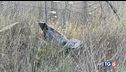 Missile sull'aeroporto, Israele: dura risposta