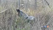 Missile sull'aeroporto, Israele: dura risposta