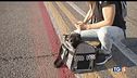 Cani e gatti in volo, da lunedì in cabina