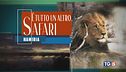 Verissimo, Bocelli 30 e Speciale sulla Namibia