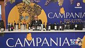 Gusto di Vino - Vitigno Italia