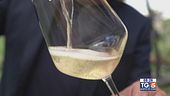 Gusto di Vino: Prosecco docg