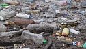 La plastica minaccia la vita e l'ambiente
