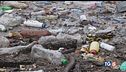 La plastica minaccia la vita e l'ambiente