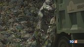 Inquinamento plastica una minaccia per tutti
