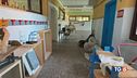 Vandali a scuola danni per milioni