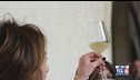 Gusto di Vino