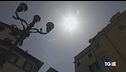 Fuga verso le vacanze. Non li abbandoniamo!
