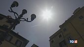 Fuga verso le vacanze. Non li abbandoniamo!