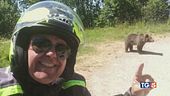Il selfie con l'orsa, imprudenza fatale