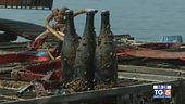 Gusto Di Vino: un tesoro in fondo al lago