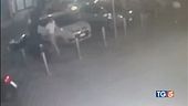 Gioventù bruciata bravate e violenza