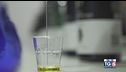 Gusto DiVino: Vino e olio, binomio d'eccellenza