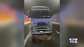 Incidente sull'A1 morta anche la bambina