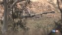 Italia e 22 paesi: ora Israele fermi guerra
