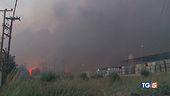 Allarme in Europa tra caldo e incendi