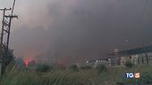 Allarme in Europa tra caldo e incendi