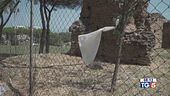 Stupro Tor Tre Teste: violentata altra donna