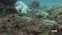 Mare e pianeta, è sos plastica