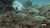 Mare e pianeta, è sos plastica