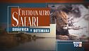 Speciale Tg5 - È tutto un altro Safari