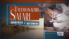 Speciale Tg5 - È tutto un altro Safari
