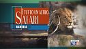 Speciale Tg5 - È tutto un altro safari Namibia