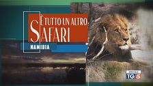 Speciale Tg5 - È tutto un altro safari Namibia