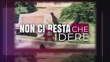 Speciale Tg5 - Non ci resta che ridere