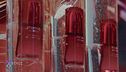 La bellezza e la ricerca di "Shiseido"