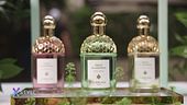 Aqua Allegoria di Guerlain
