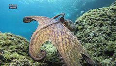 Puntata del 29 giugno