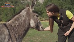 Puntata del 6 luglio