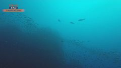 Puntata del 13 luglio