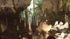 Puntata del 20 luglio