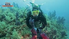 Puntata del 10 agosto