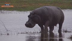 Puntata del 24 agosto