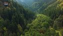 Nel Parco Nazionale delle Foreste Casentinesi