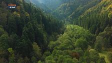 Nel Parco Nazionale delle Foreste Casentinesi