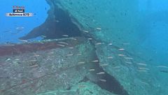 Puntata del 26 ottobre