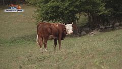 Puntata del 2 novembre