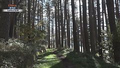 Puntata del 30 novembre